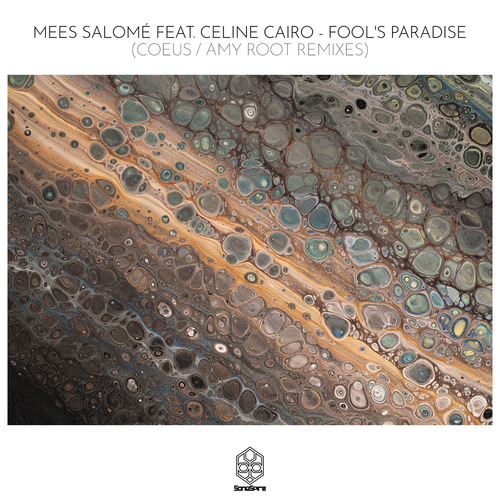 Mees Salomé feat. Celine Cairo - Fool's Paradise [SSR179]